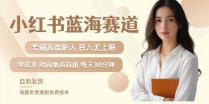 小红书蓝海赛道，圈中高端职场人，月入无上限，可矩阵，内含私域实操教程!-如意资源库