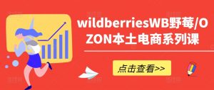 wildberriesWB野莓/OZON本土电商系列课,掌握WB产品优化,出单技巧和订单处理等-如意资源库