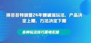 拼多多特训营24年爆破流玩法，产品决定上限，方法决定下限，各种玩法技巧落地实操-如意资源库
