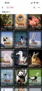 动物科普解说项目，撸创作者伙伴计划收益，保姆级实战教程-如意资源库