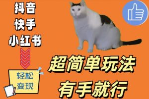 超简单玩法,有手就行,靠猫咪视频日入500+【揭秘】-如意资源库