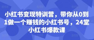 小红书变现特训营,带你从0到1做一个赚钱的小红书号,24堂小红书爆款课-如意资源库