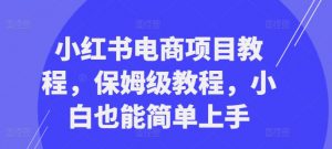 小红书电商项目教程，保姆级教程，小白也能简单上手-如意资源库