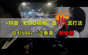 抖音EMO视频自热打法，日引500+“泛垂直”创业粉-如意资源库