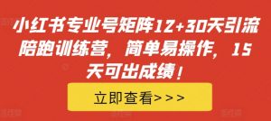 小红书专业号矩阵12+30天引流陪跑训练营,简单易操作,15天可出成绩!-如意资源库