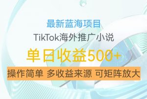 最新蓝海项目,利用tiktok海外推广小说赚钱佣金,简单易学,日入500+,可矩阵放大【揭秘】-如意资源库
