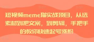 短视频meme猫实战项目,从选素材到把文案,到剪辑,手把手的教你快速起号涨粉-如意资源库