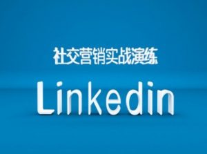 社交营销实战演练之Linkedin营销课程，B2B跨境外贸的新出路-如意资源库