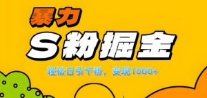 单人单机日引千粉，变现1k+，S粉流量掘金计划攻略【揭秘】-如意资源库