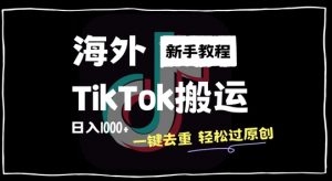2024最新海外TikTok搬运玩法，一键去重轻松过原创，新手无经验也能日入1k【揭秘】-如意资源库