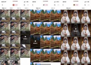 狗熊岭快手连怼技术，好物，涨粉都可以连怼-如意资源库