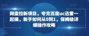 网盘拉新项目,夸克百度uc迅雷一起搞,新手如何从0到1,保姆级详细操作攻略-如意资源库