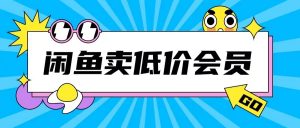 外面收费998的闲鱼低价充值会员搬砖玩法号称日入200+-如意资源库