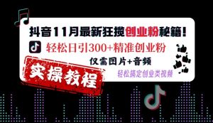 抖音11月最新狂揽创业粉秘籍,轻松日引300+精准创业粉,仅需图片+音频,轻松搞定创业类视频-如意资源库