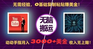 无需经验，0基础复制粘贴赚美刀，动动手指，月入3000+刀，无上限【揭秘】-如意资源库