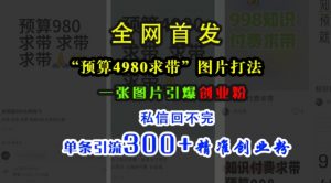 小红书“预算4980带我飞”图片打法，一张图片引爆创业粉，私信回不完，单条引流300+精准创业粉-如意资源库