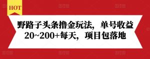 野路子头条撸金玩法,单号收益20~200+每天,项目包落地-如意资源库