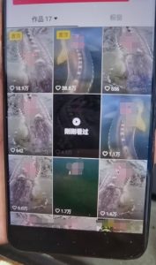 外面卖399的国学佛像原创暴力起号技术,快速起号,7天可达到一个万粉号-如意资源库