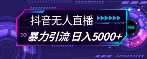 抖音快手视频号全平台通用无人直播引流法,利用图片模板和语音话术,暴力日引流100+创业粉【揭秘】-如意资源库