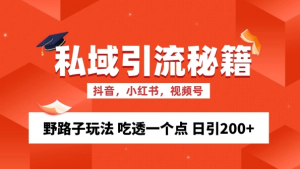 私域流量的精准化获客方法 野路子玩法 吃透一个点 日引200+ 【揭秘】-如意资源库