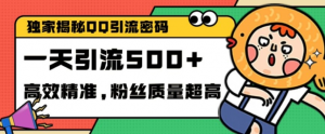 独家解密QQ里的引流密码,高效精准,实测单日加100+创业粉【揭秘】-如意资源库