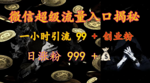 微信超级流量入口揭秘:一小时引流 99 + 创业粉,日涨粉 999 +-如意资源库