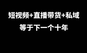 短视频+直播带货+私域等于下一个十年，大佬7年实战经验总结-如意资源库