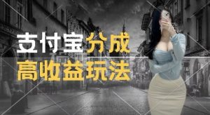 支付宝分成计划新玩法，利用交通事故视频，赚收益，轻松月入过W，操作简单【揭秘】-如意资源库