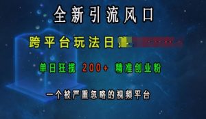 全新引流风口，跨平台玩法日入上k，单日狂揽200+精准创业粉，一个被严重忽略的视频平台-如意资源库