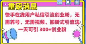 快手最新引流创业粉方法，无需养号、无需视频、搬砖式引流法【揭秘】-如意资源库