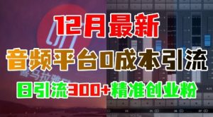 12月最新:音频平台0成本引流,日引流300+精准创业粉-如意资源库