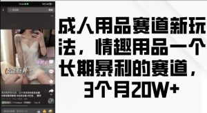 成人用品赛道新玩法，情趣用品一个长期暴利的赛道，3个月收益20个【揭秘】-如意资源库