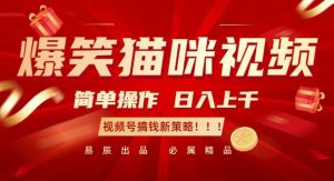 爆笑猫咪视频：简单操作，日入过K，视频号搞钱新策略【揭秘】-如意资源库