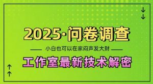 2025问卷调查最新工作室技术解密:一个人在家也可以闷声发大财,小白一天2张,可矩阵放大【揭秘】-如意资源库