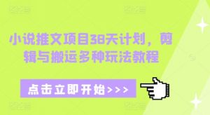 小说推文项目38天计划,剪辑与搬运多种玩法教程-如意资源库