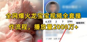 全网爆火龙宝宝视频全套操作流程,播放量2000万+-如意资源库