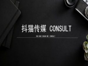 抖猫学院小红书聚光详细操作流程实操-如意资源库