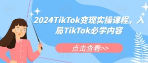 2024TikTok变现实操课程,入局TikTok必学内容-如意资源库