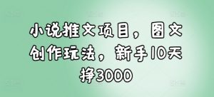 小说推文项目，图文创作玩法，新手10天挣3000-如意资源库