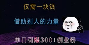 仅需一块钱,借助别人的力量,单日引爆300+创业粉、兼职粉【揭秘】-如意资源库