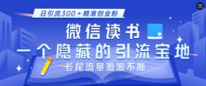 微信读书，一个隐藏的引流宝地，不为人知的小众打法，日引流300+精准创业粉，长尾流量源源不断-如意资源库