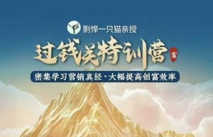 剽悍一只猫-过钱关特训营,学习营销真经 大幅度提高创富效率-如意资源库