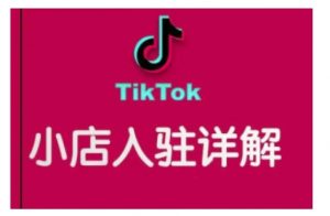 TikTok跨境小店运营全攻略,帮助你独立运营TK跨境小店的能力,实现销量增长-如意资源库