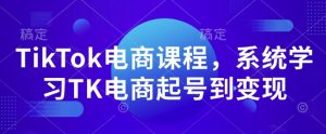 TikTok电商课程，​系统学习TK电商起号到变现-如意资源库
