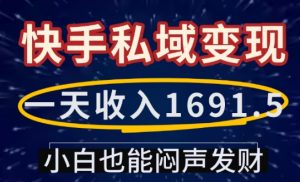 一天收入1691.5,快手私域变现,小白也能闷声发财-如意资源库
