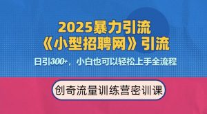 2025最新暴力引流方法，招聘平台一天引流300+，日变现多张，专业人士力荐-如意资源库
