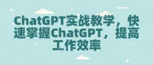 ChatGPT实战教学，快速掌握ChatGPT，提高工作效率-如意资源库