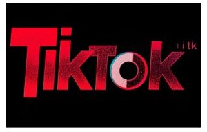 TikTok ads投流秘籍,涵盖tiktok整体投放思路,教你搭建测试计划-如意资源库