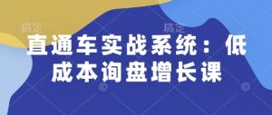 直通车实战系统:低成本询盘增长课,让个人通过技能实现升职加薪,让企业低成本获客,订单源源不断-如意资源库