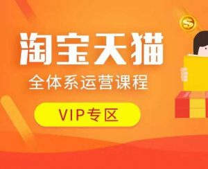 淘宝天猫全体系运营课程:店铺全系运营、动销玩法、付费推广、流量提升、擦边球玩法等等-如意资源库